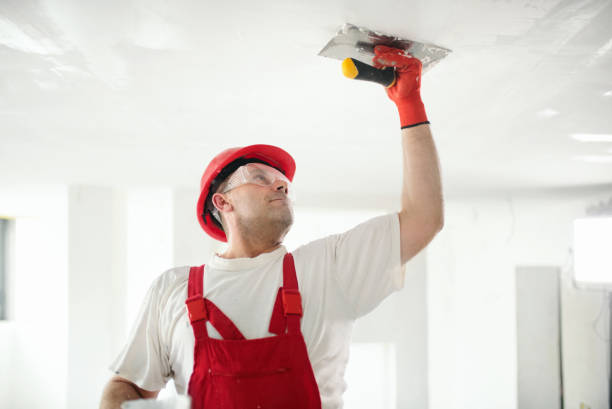 Best Real Estate Mold Inspection  in Waverly, TN