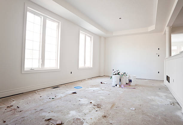 Best Basement Mold Removal  in Waverly, TN