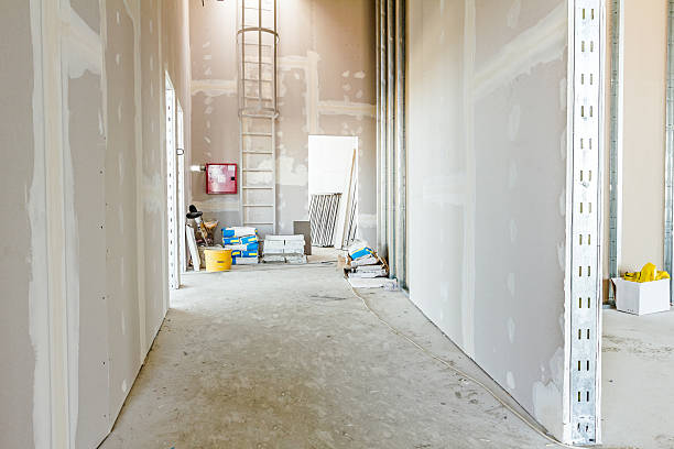 Best Forensic Mold Investigation  in Waverly, TN