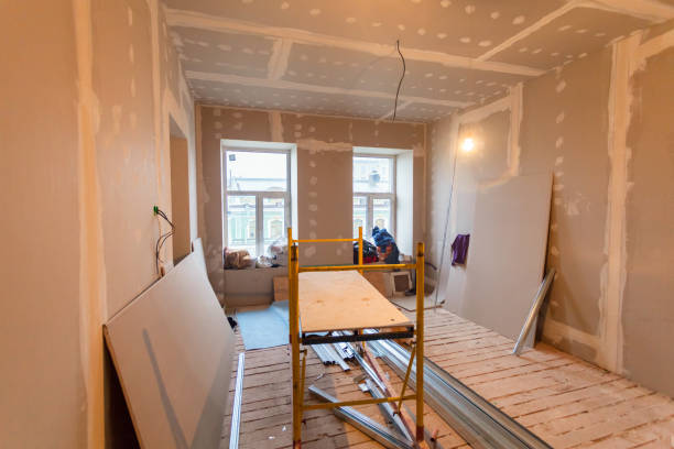 Best Black Mold Removal  in Waverly, TN